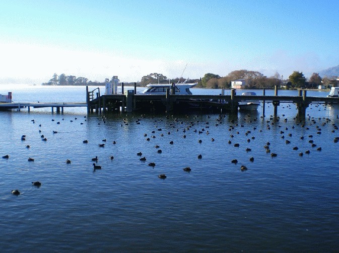 罗托鲁瓦湖（Rotoru a Lake）